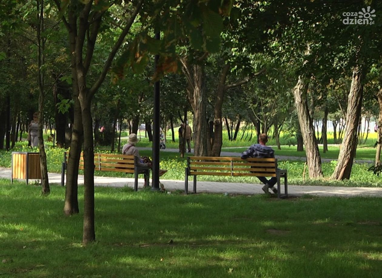 Przyjdź na piknik i zobacz nowy park na Michałowie