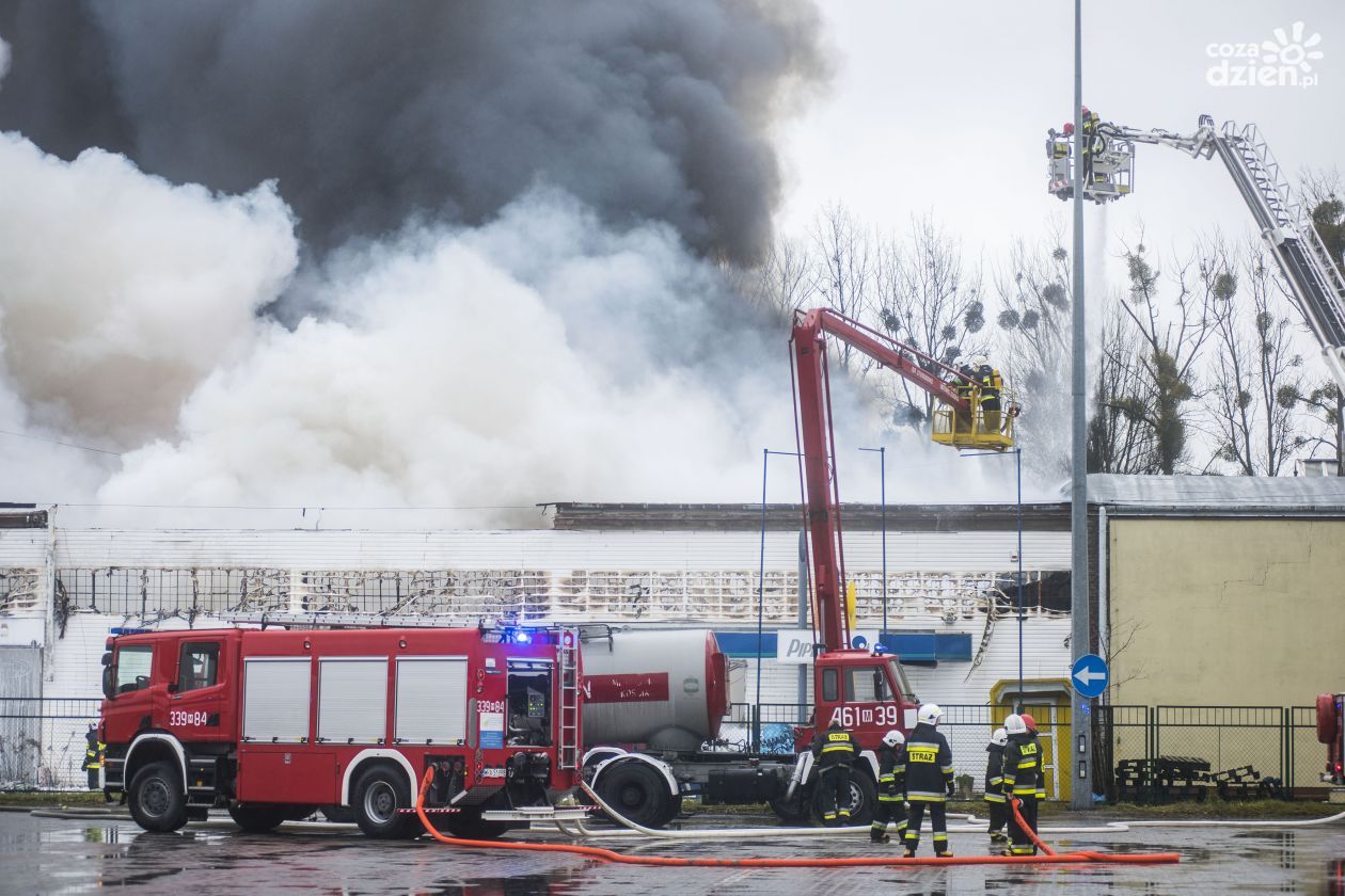 Pożal hali przy ul. Wrocławskiej. Jest akt oskarżenia