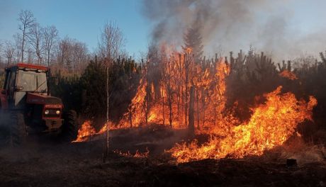 Pożar lasu. Spaliły się ponad dwa hektary