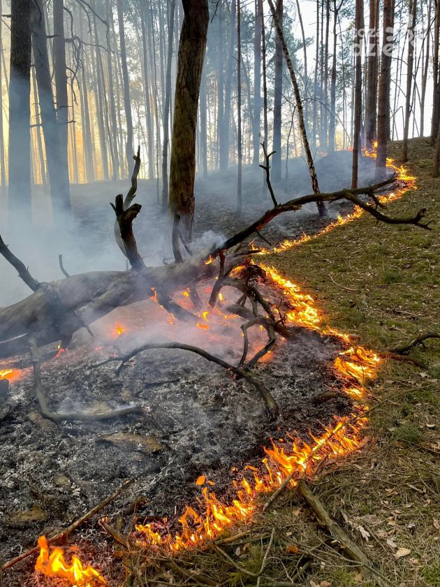 Ponad pół tysiąca pożarów traw od stycznia