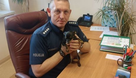 Policjanci odnaleźli skradzionego psa