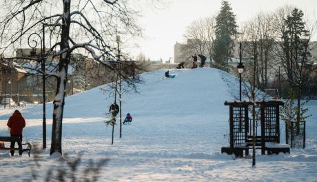 Biała zima zadomowiła się w Radomiu (zdjęcia)