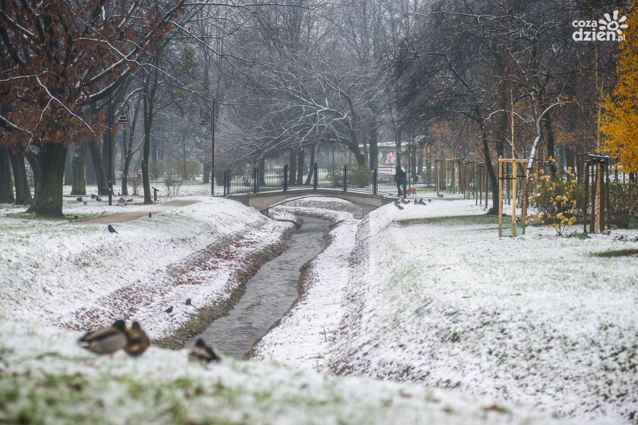 Zima w Radomiu - zobaczcie zdjęcia pierwszego śniegu