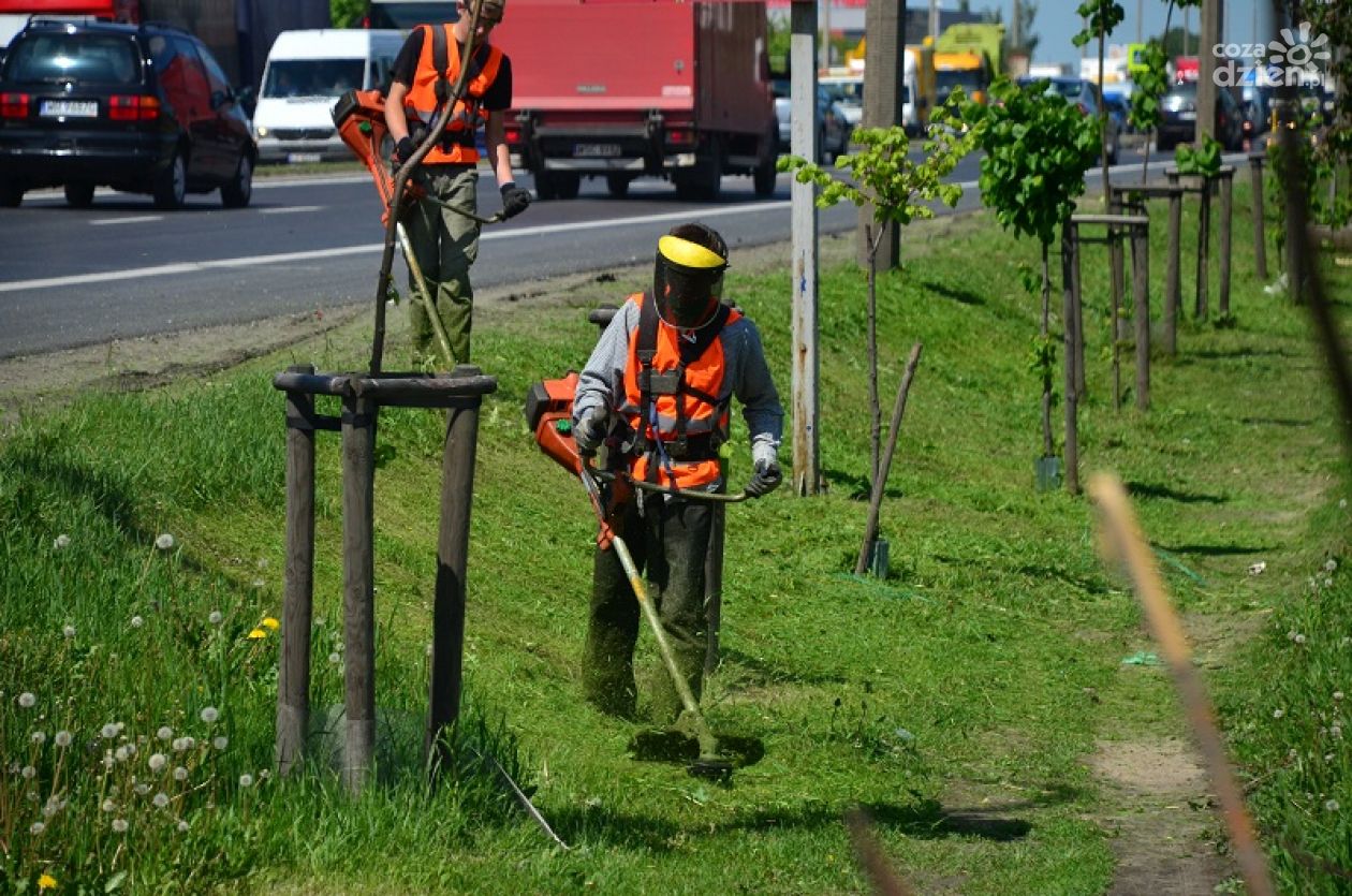 Rozpoczynają koszenie trawników na radomskich ulicach