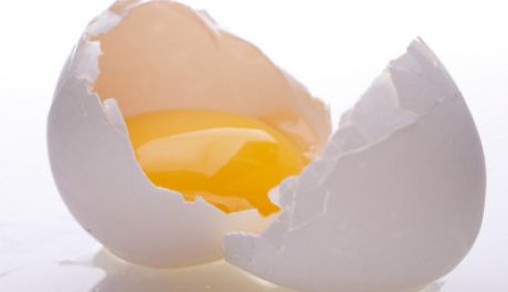Wszystko, co musisz wiedzieć o jajkach!