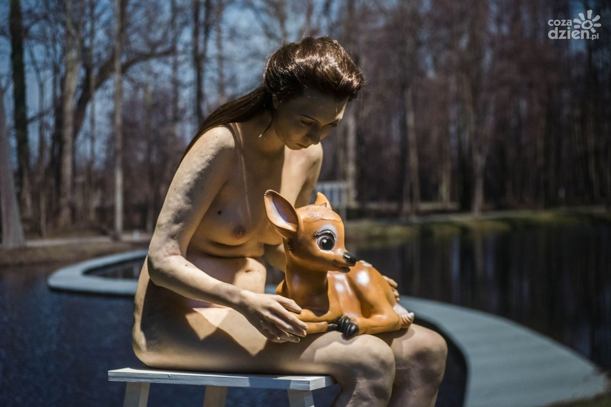 Trzy nowe wystawy w Centrum Rzeźby Polskiej w Orońsku (zdjęcia)