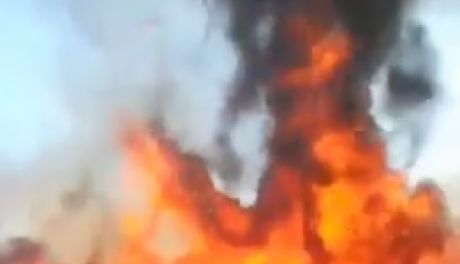 Niebezpieczny pożar lasu w Jastrzębiu (wideo)