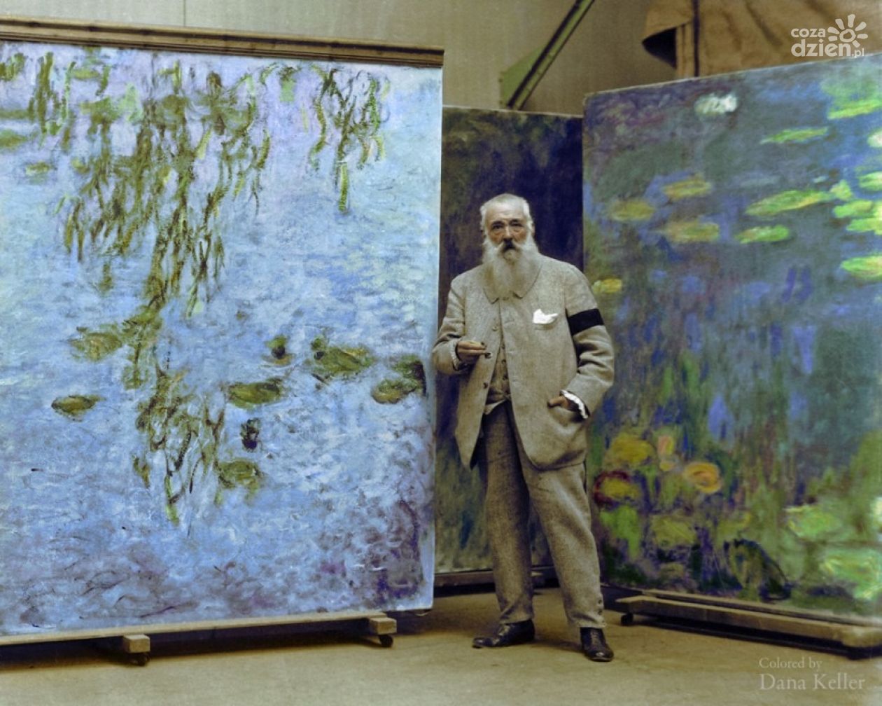 Sztuka na ekranie: Nenufary Moneta. Cuda z wody i światła