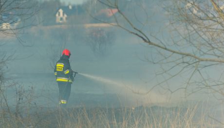 Pożar traw na Wincentowie (zdjęcia)