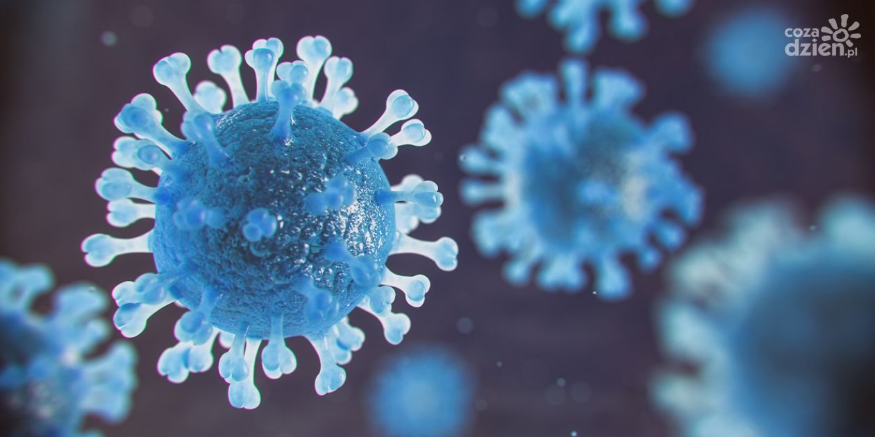 Jak działają testy antygenowe na koronawirusa?