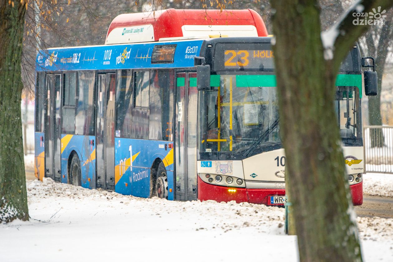 Rekordowy autobus na ulicach Radomia (zdjęcia)