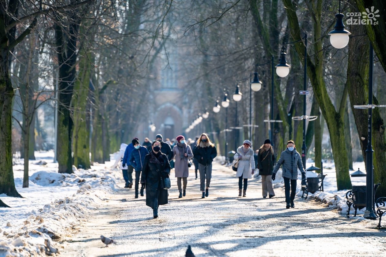 Słoneczny zimowy dzień w Radomiu (zdjęcia)
