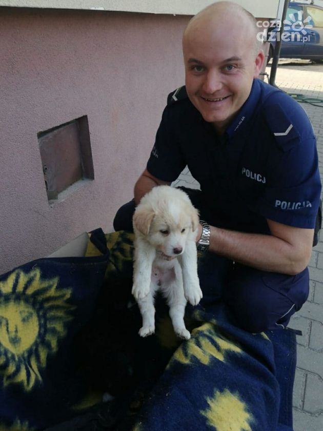 Policjanci i strażacy z Jedlińska uratowali szczeniaki 