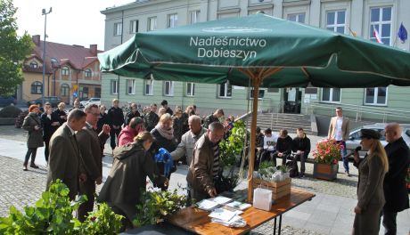 Akcja #sadziMY w Białobrzegach. Sadzonki drzew rozdawano na Placu Zygmunta Starego