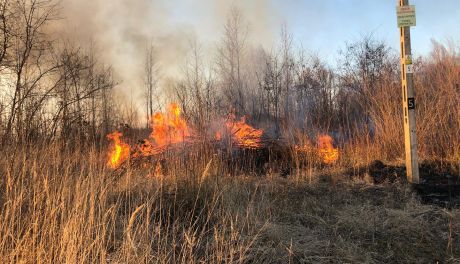 111 pożarów traw i nieużytków od początku roku 