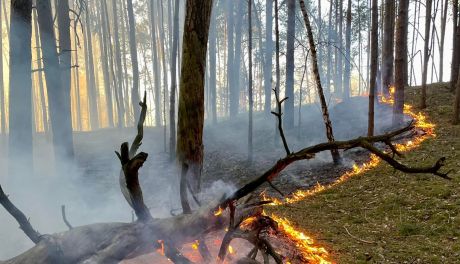 Ponad pół tysiąca pożarów traw od stycznia