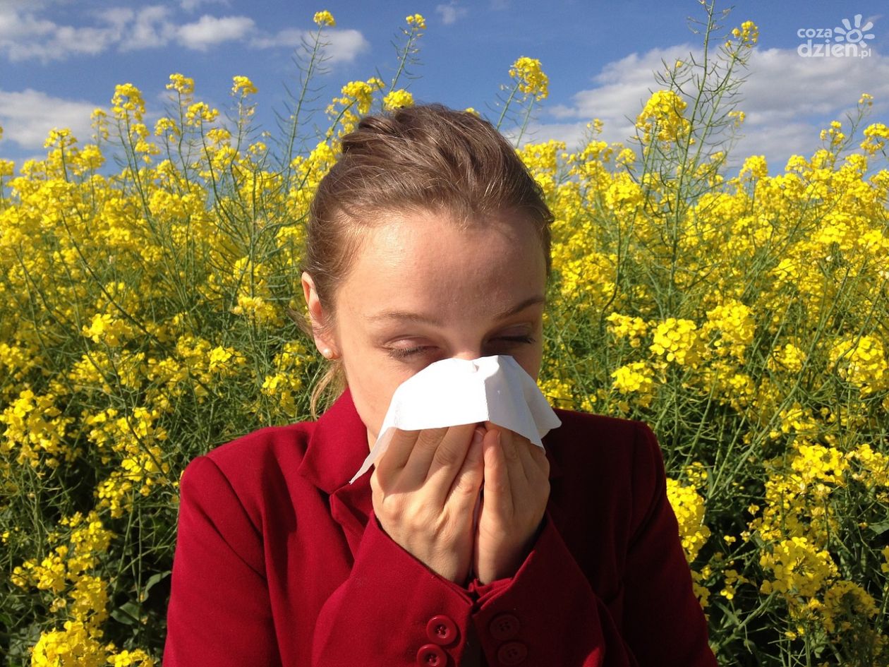 Skuteczny sposób na alergię