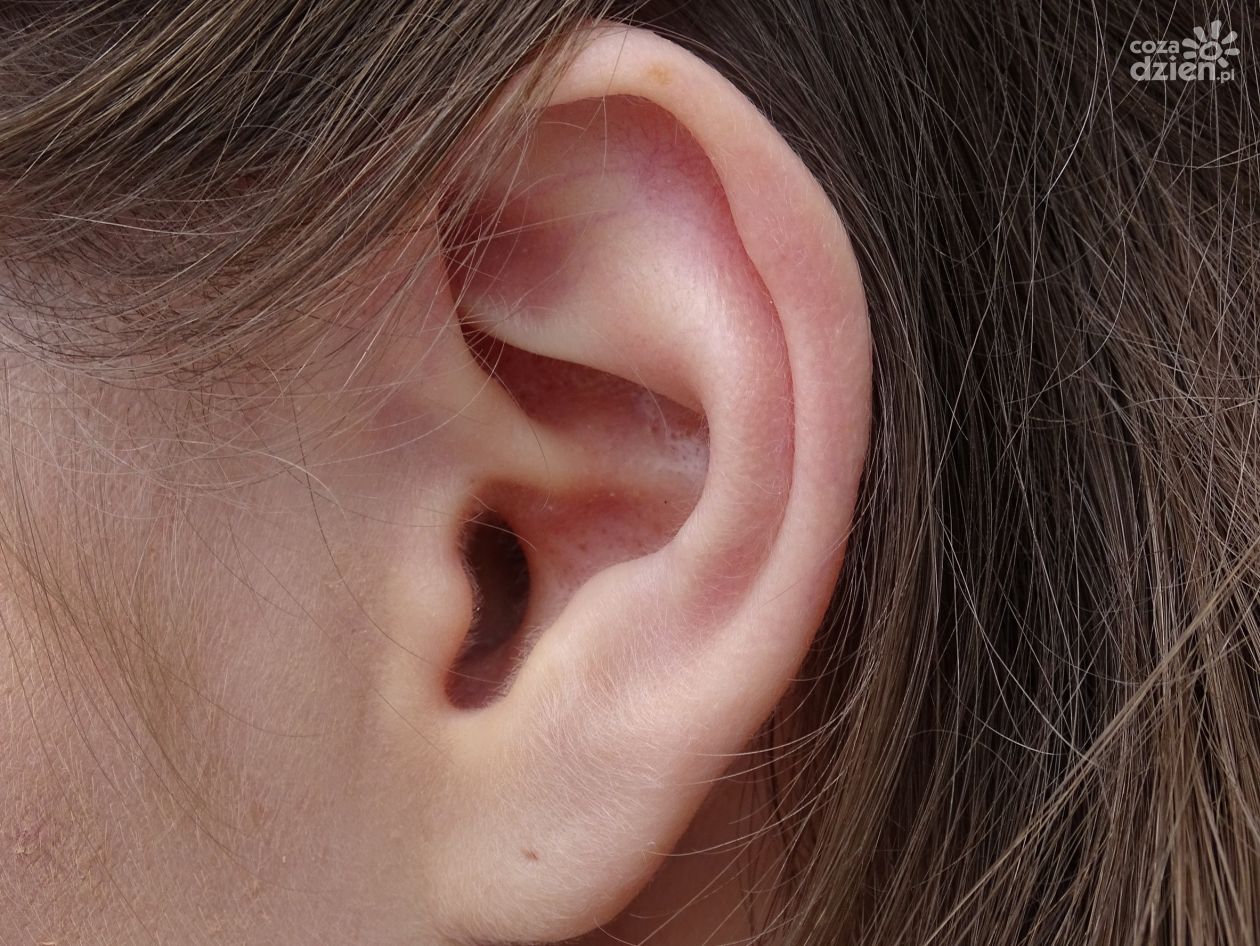Ucho środkowe – czym jest i dlaczego boli?