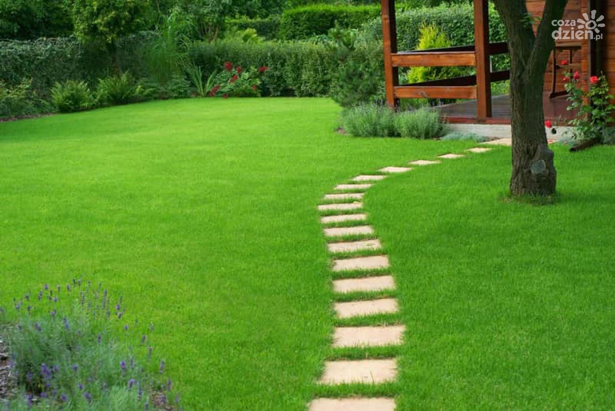 Jak zasiać trawnik od podstaw - instrukcja krok po kroku