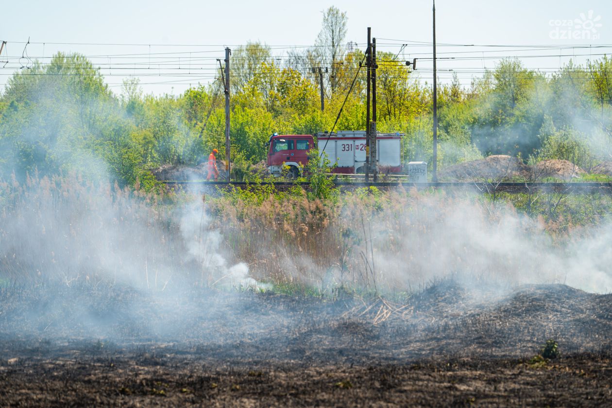Pożar nieużytków w okolicach ul. Olsztyńskiej (zdjęcia)