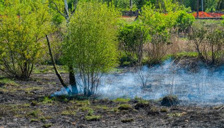 Pożar traw w Lisowie