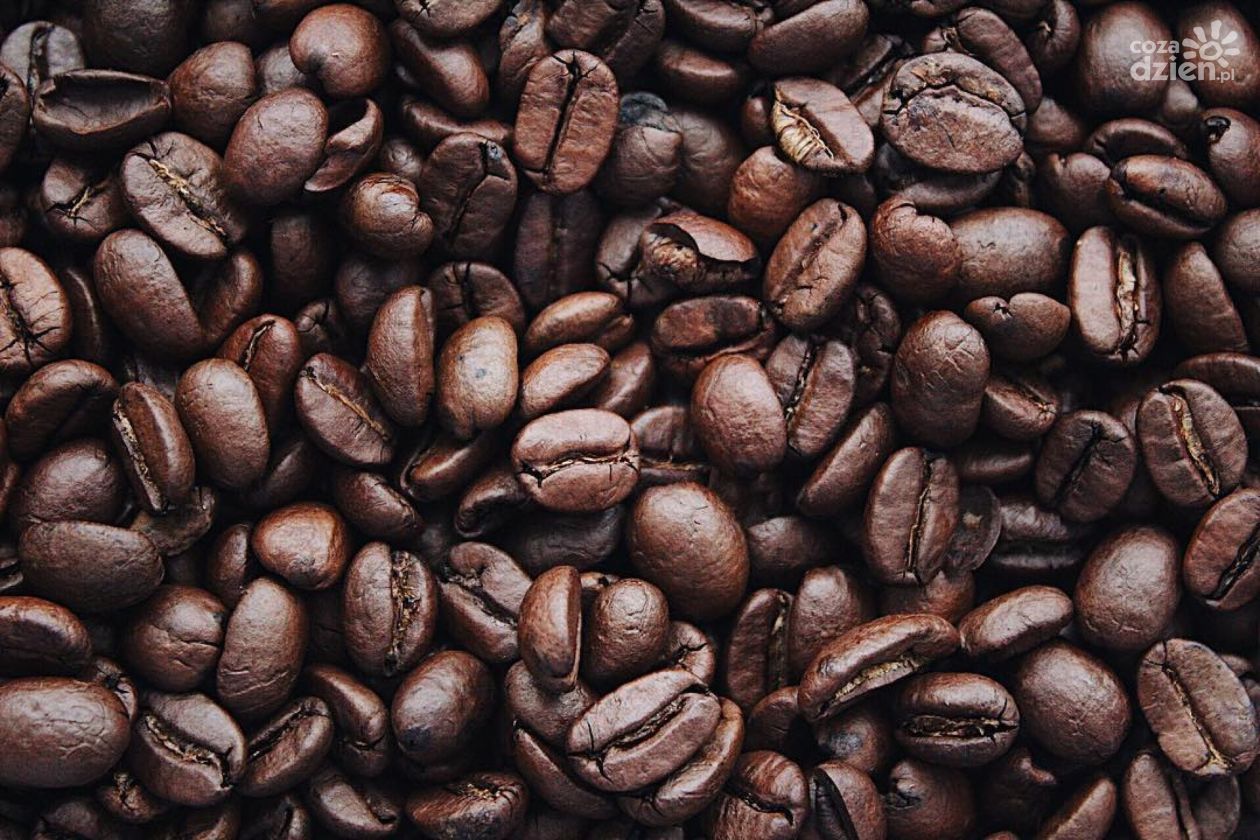Kawa365.pl - twoje codzienne źródło kofeinowej inspiracji