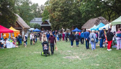Festiwal Ziemniaka w Muzeum Wsi Radomskiej (zdjęcia)