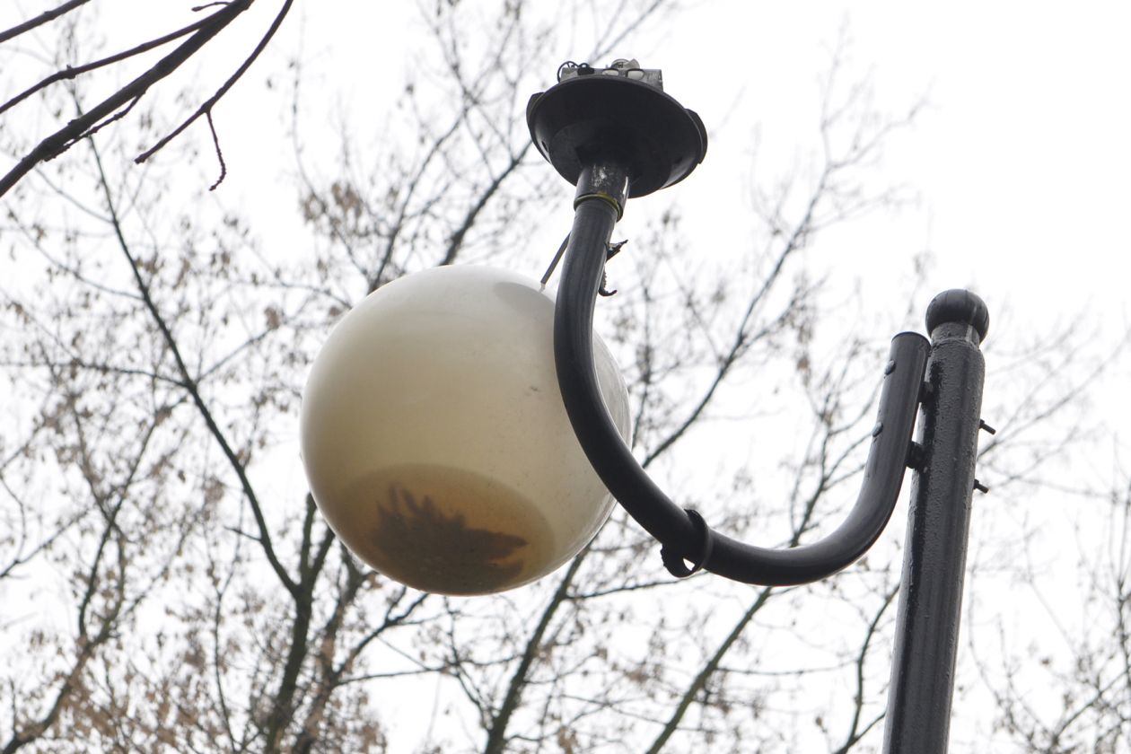 INTERWENCJE: Wandale notorycznie tłuką latarnie w parku na Obozisku!