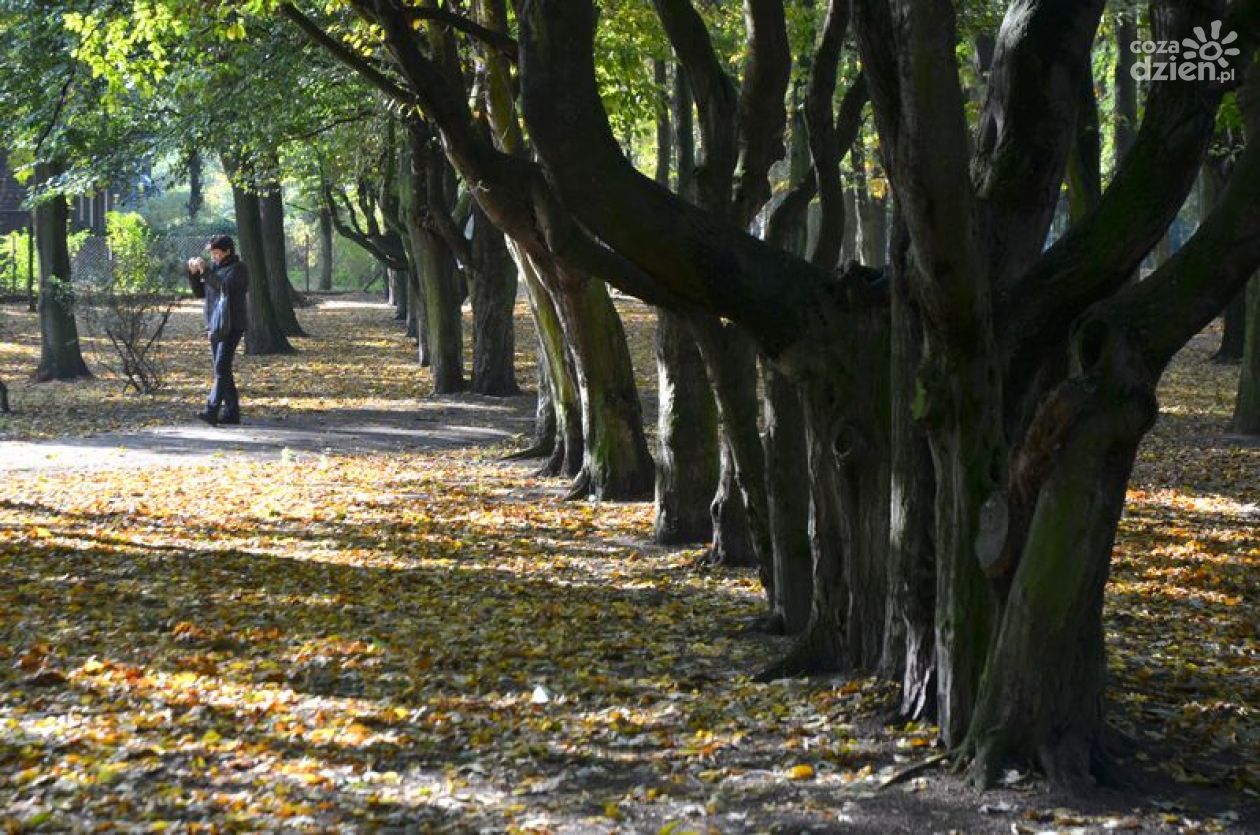Jest 21 mln na rewitalizację parków w Radomiu
