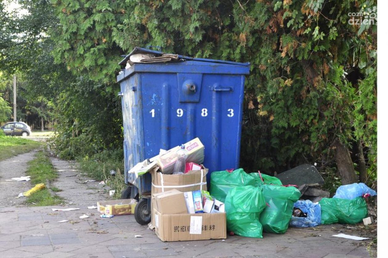 Miasto ogłasza przetarg na odbiór i transport odpadów