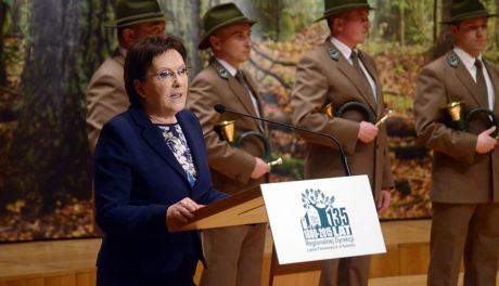 Ewa Kopacz: "Nie ma planów prywatyzacji lasów"
