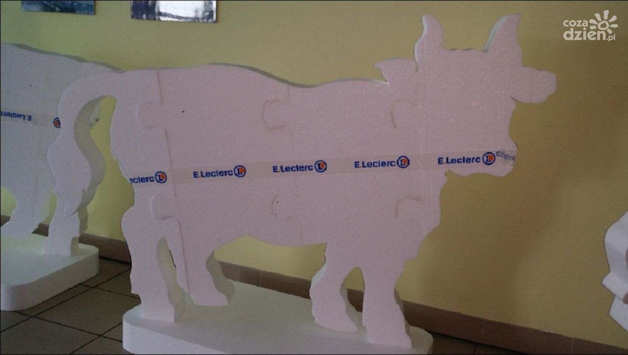 Konkurs „Wyklejamy Krowę Figanda”  w  E.Leclerc