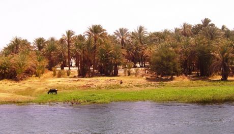 Wybierz się na wyjątkowy rejs po Nilu