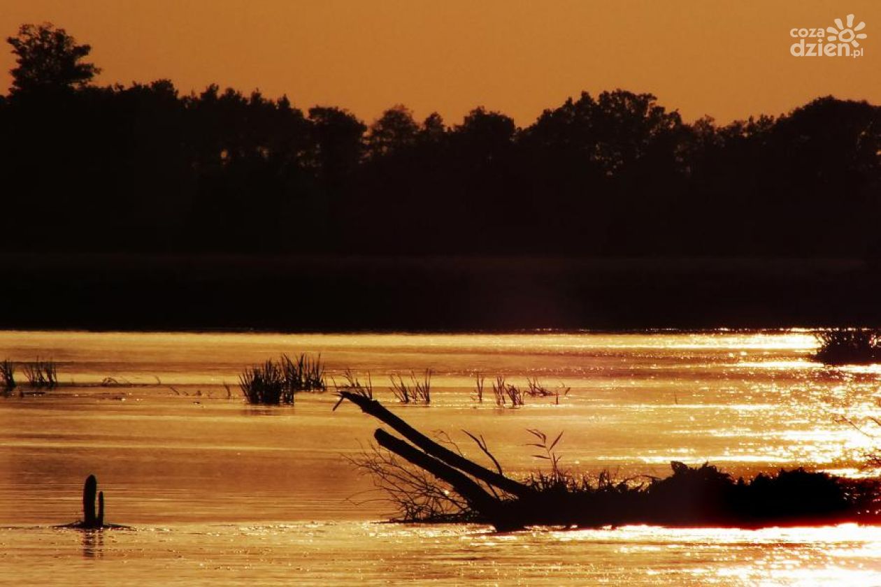 Białobrzeskie jeziora odzyskają blask