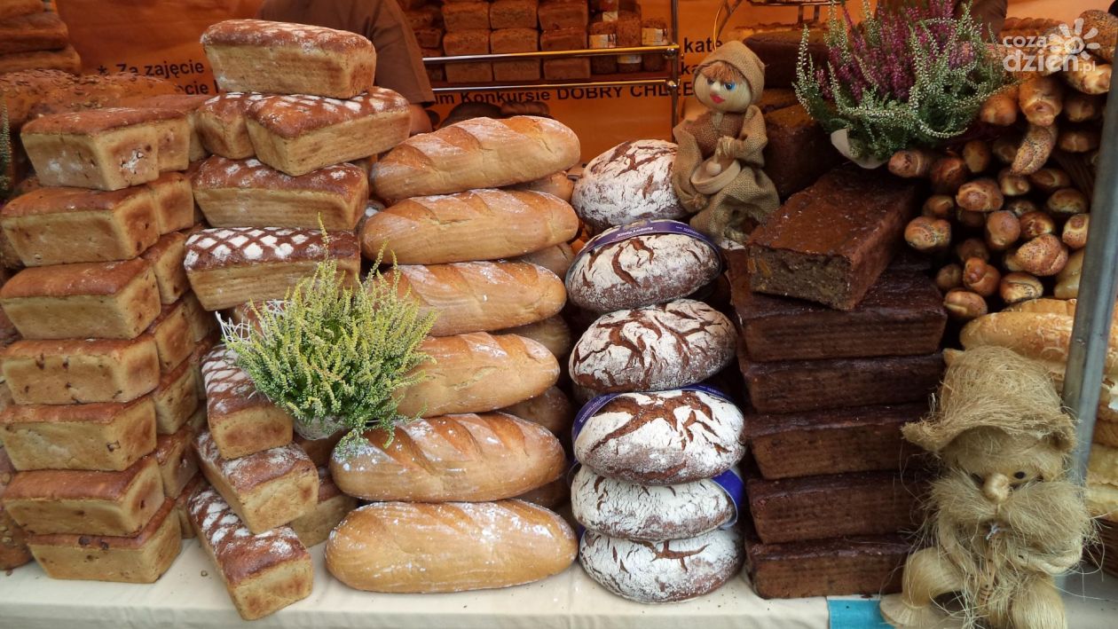 Samodzielne wypiekanie chleba - jak się przygotować?