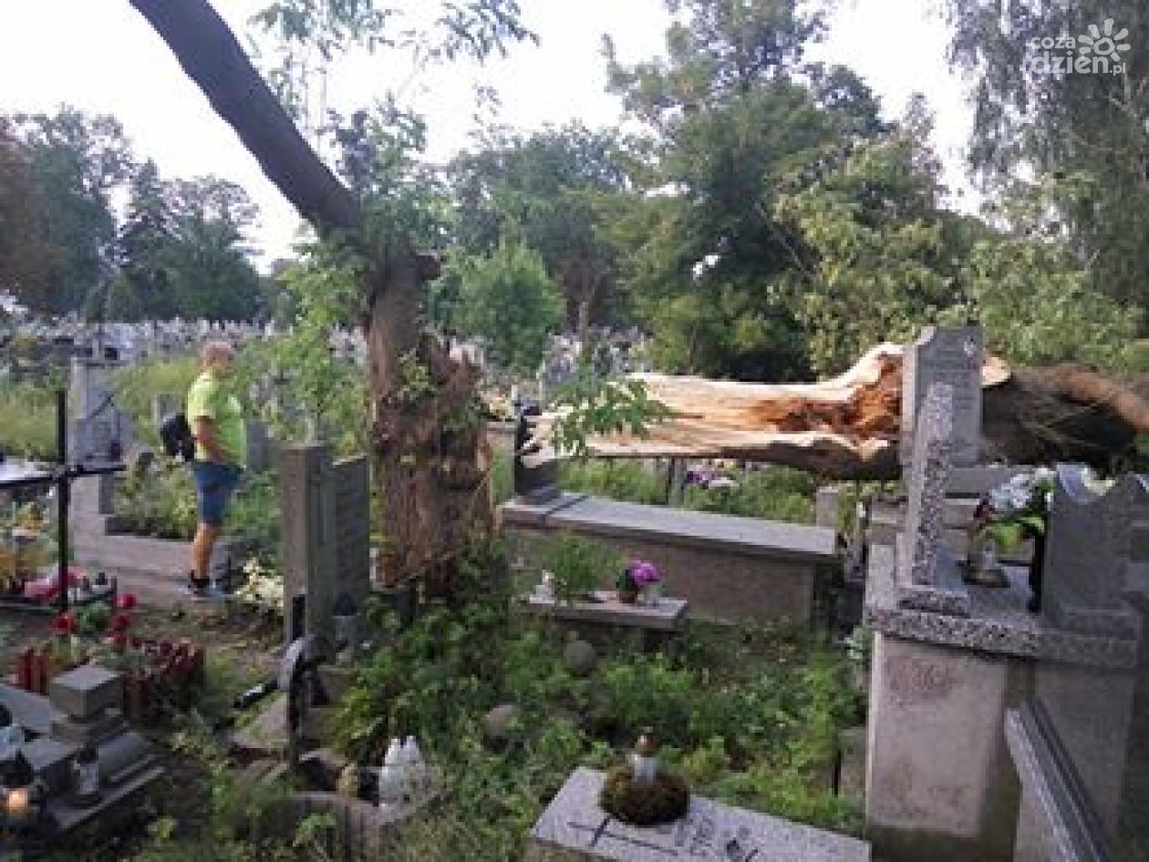 Połamane drzewa na cmentarzu (ZDJĘCIA)