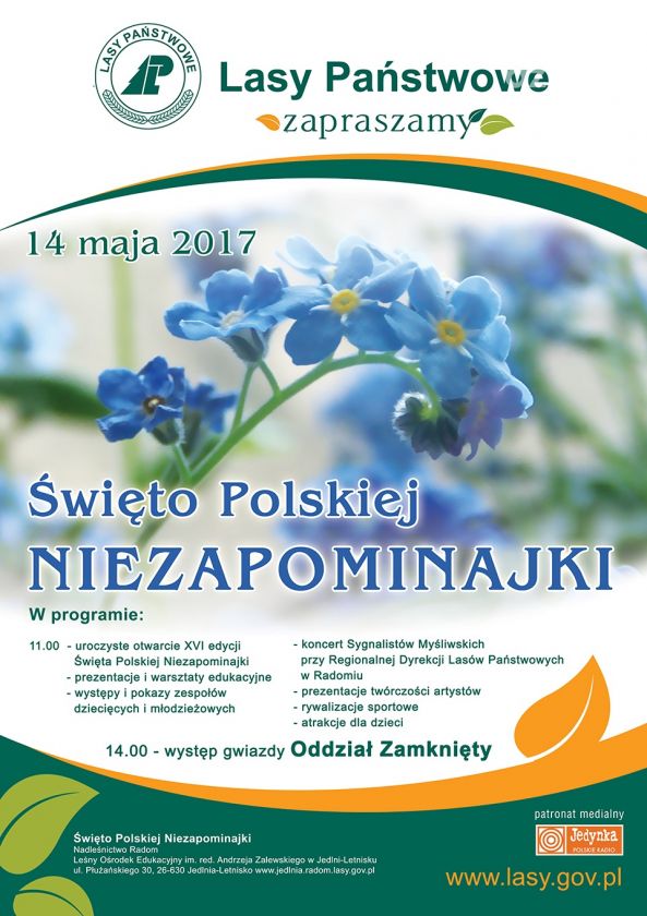 Święto Polskiej Niezapominajki