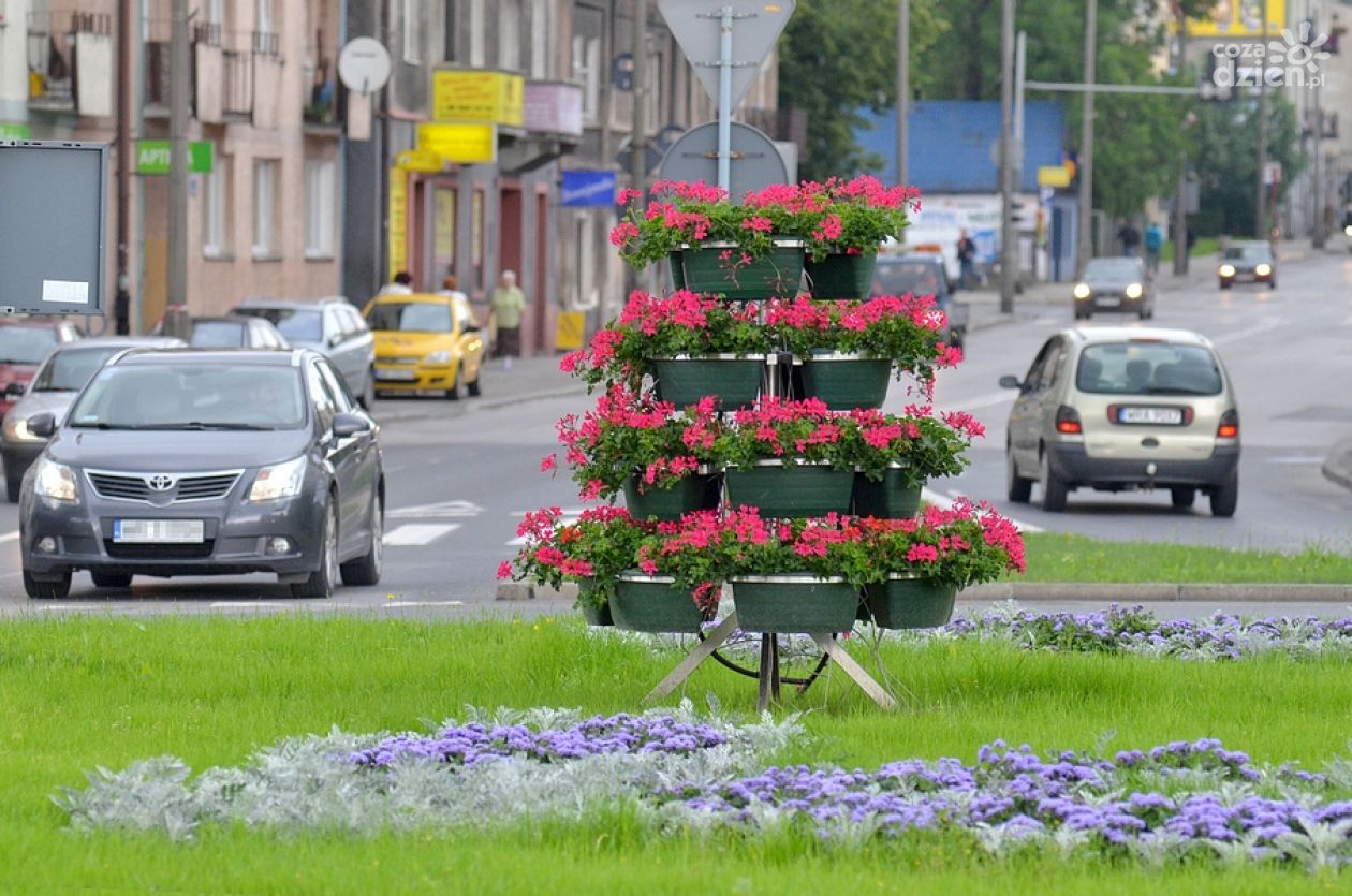 Miasto wydało ponad 50 tys. zł. Zarobiła firma radnego