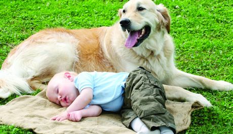 Niemowlę i pies - jak oszczędzić stresu sobie, dziecku i zwierzęciu