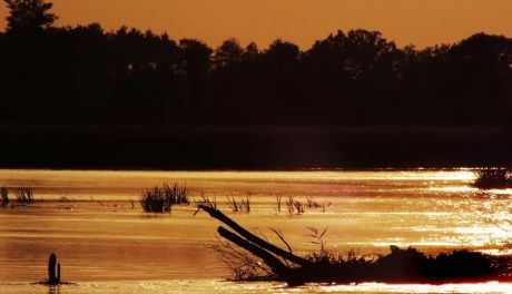 Białobrzeskie jeziora odzyskają blask