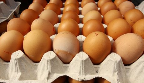 Jajeczne ABC - wszystko co powinniśmy wiedzieć