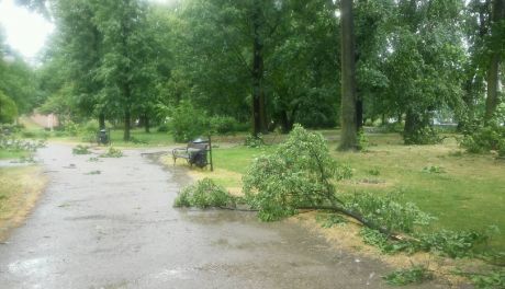 Skutki nawałnicy nad Radomiem