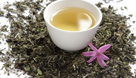 Biała herbata – dla zdrowia i młodości