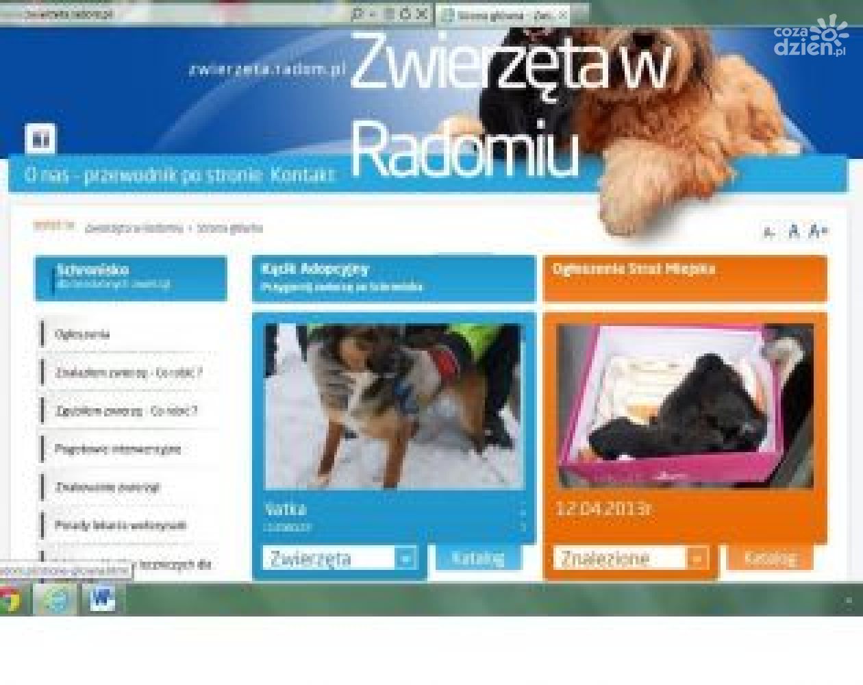Zaginął twój pupil? Wejdź na www. zwierzeta.radom.pl