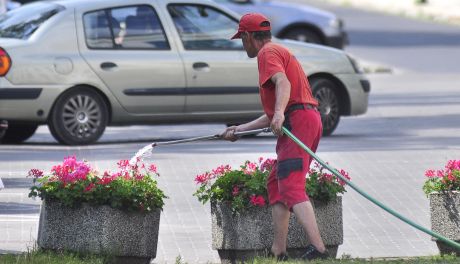 EKO-FLORA zajmie się kwiatami w mieście za blisko 250 tys. zł