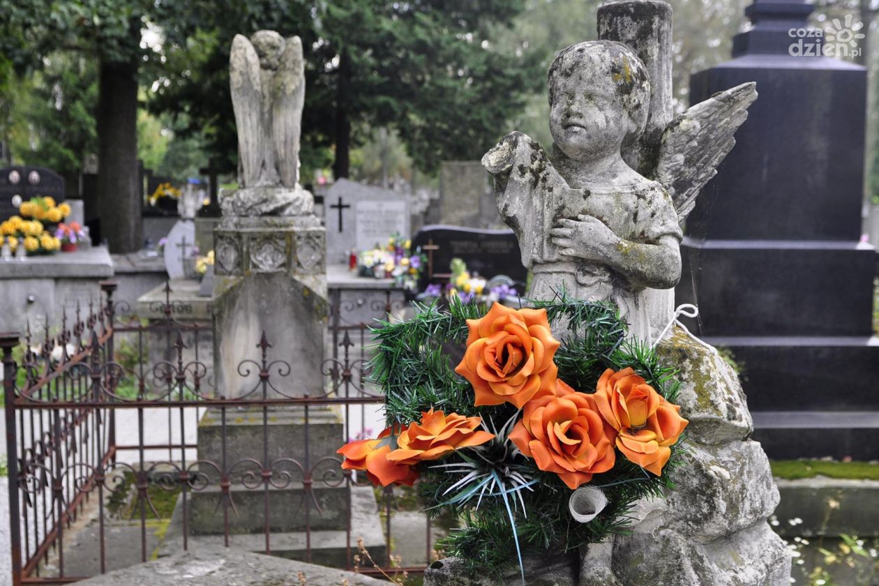 Niezwykły projekt na radomskim cmentarzu